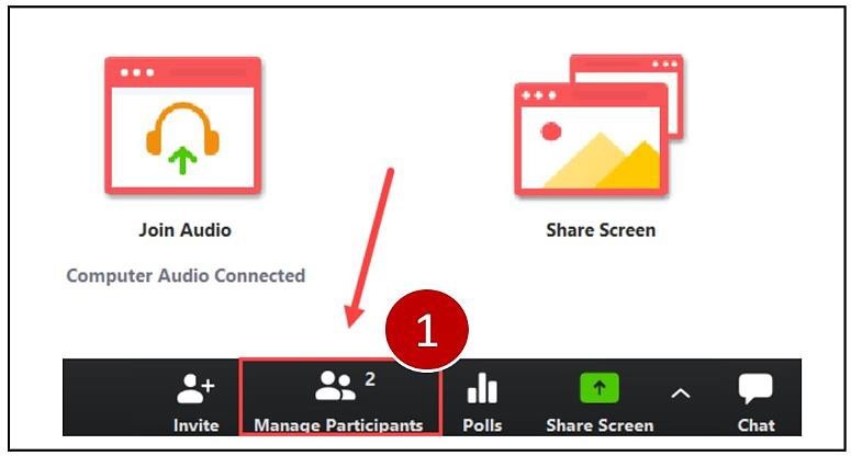 screenshot of Manage Participants in Zoom