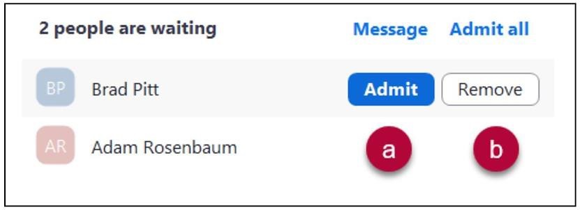 Screenshot of Zoom Waiting Room